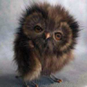 Meet your Posher, Valarie